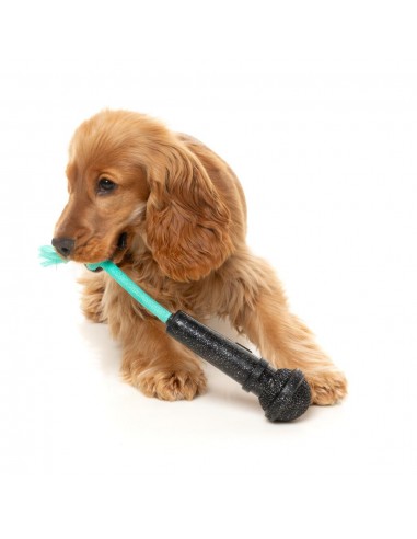 Brinquedo interativo para cães FuzzYard Mic Drop com corda e som