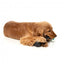 Brinquedo interativo para cães FuzzYard Mic Drop com corda e som