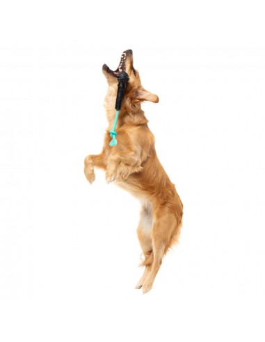 Brinquedo interativo para cães FuzzYard Mic Drop com corda e som