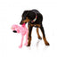 Peluche para cães FuzzYard Nasties Flo com apito (tamanho L)