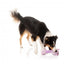 Peluche para cães FuzzYard Neck Minnits Neckita lama com pescoço elástico