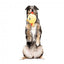 Peluche para cães FuzzYard Noggins Hen Diesel com apito