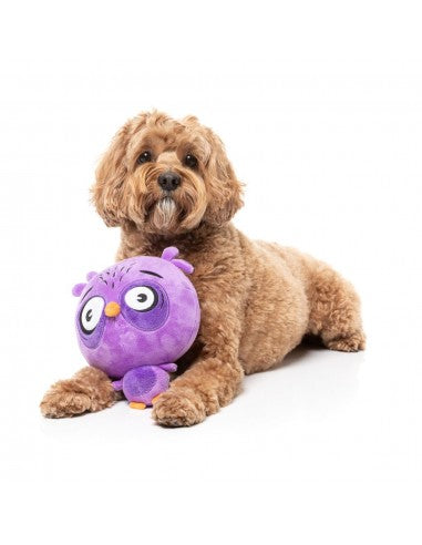 Peluche para cães FuzzYard Noggins Hoo Dini com apito