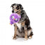 Peluche para cães FuzzYard Noggins Hoo Dini com apito