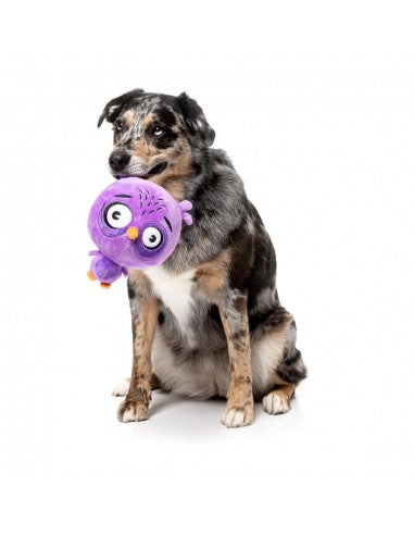 Peluche para cães FuzzYard Noggins Hoo Dini com apito