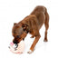 Peluche para cães FuzzYard Noggins Snoop Hogg com apito