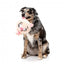 Peluche para cães FuzzYard Noggins Snoop Hogg com apito