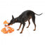Peluche para cães FuzzYard Octo-Pose Sailor Squiggles polvo com apito
