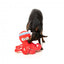 Peluche para cães FuzzYard Octo-Pose Takoyaki polvo com apito