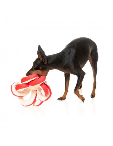 Peluche para cães FuzzYard Octo-Pose Takoyaki polvo com apito