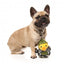 Peluche para cães FuzzYard Commanduck pato com apito