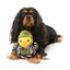 Peluche para cães FuzzYard Commanduck pato com apito