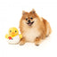 Peluche para cães FuzzYard Cupid Duck pato com apito