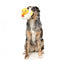 Peluche para cães FuzzYard Cupid Duck pato com apito