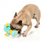 Peluche para cães FuzzYard Ducktor pato com apito