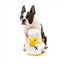 Peluche para cães FuzzYard pato Gordon Quacksay com apito