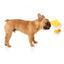 Peluche para cães FuzzYard pato Gordon Quacksay com apito