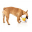 Peluche para cães FuzzYard pato Gordon Quacksay com apito