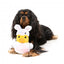 Peluche para cães FuzzYard pato coelho com apito