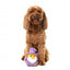 Peluche para cães FuzzYard pato Sirius Quack (tamanho S)