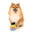 Peluche para cães FuzzYard pato Timothee Chalaquack (tamanho S)