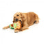 Peluches para cães FuzzYard abacate e torrada, pack de 2