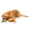 Peluches para cães FuzzYard abacate e torrada, pack de 2