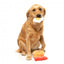 Peluches para cães FuzzYard Dog's Breakfast, pack de 3