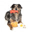 Peluches para cães FuzzYard Dog's Breakfast, pack de 3