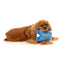 Peluche com som para cães FuzzYard Retro Dogbuster Card