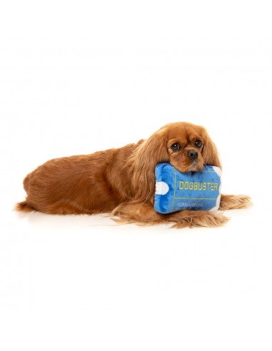 Peluche com som para cães FuzzYard Retro Dogbuster Card