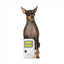 Peluche com som para cães FuzzYard Retro Game Dog