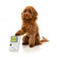 Peluche com som para cães FuzzYard Retro Game Dog