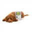 Peluche com som para cães FuzzYard Retro Game Dog