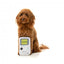 Peluche com som para cães FuzzYard Retro Game Dog