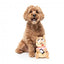 Peluche esquilo com som para cães FuzzYard Ashleigh