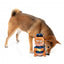 Peluche esquilo com som para cães FuzzYard Curbside Carl