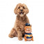 Peluche esquilo com som para cães FuzzYard Curbside Carl