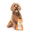 Peluche esquilo com som para cães FuzzYard Karen
