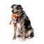 Peluche esquilo com som para cães FuzzYard Telemarketer Tom