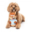 Peluche esquilo com som para cães FuzzYard Telemarketer Tom