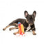 Peluche com som para cães FuzzYard The Homies Franky