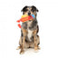 Peluche com som para cães FuzzYard The Homies Franky