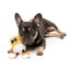 Peluche para cães com som FuzzYard The Homies Steinzy