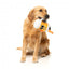 Peluche para cães com som FuzzYard The Homies Steinzy