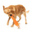Peluche para cães com som FuzzYard The Yeetz Farewell Fox