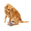 Peluche para cães com som FuzzYard The Yeetz Peace Out Pigeon