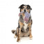 Peluche para cães com som FuzzYard The Yeetz Peace Out Pigeon