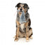 Peluche para cães com som FuzzYard The Yeetz Rack Off Rat