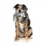 Peluche para cães com som FuzzYard The Yeetz Rack Off Rat